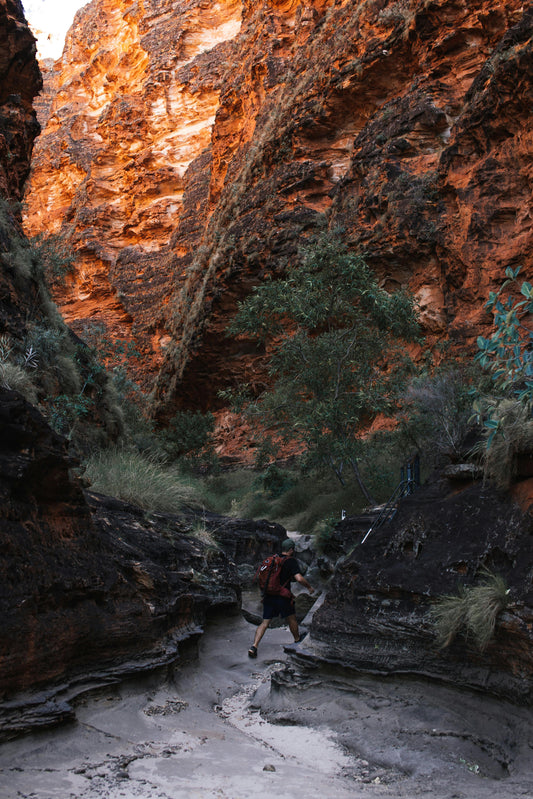 Surviving & Thriving in the Aussie Outback: What You Need to Know