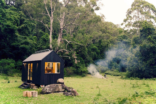 Wild, Free, and Connected: How Nature Travel Heals the Modern Soul